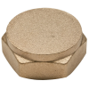 PlumbEZ Brass Cap